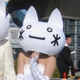 nekoshii