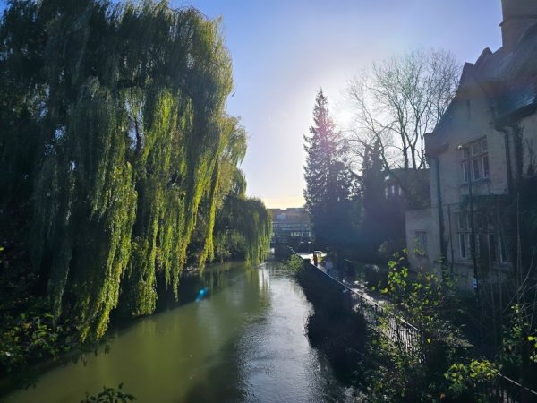 Oxford212a